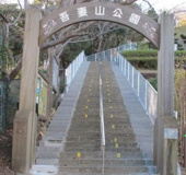 吾妻山公園