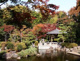 大磯城山公園の画像
