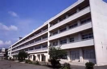 小学校 秦野市立本町小学校