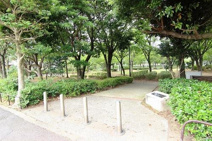 ひかりの街公園