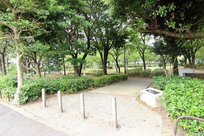 ひかりの街公園の画像1