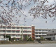 秦野市立南中学校の画像