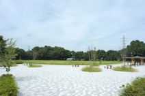 丸山城址公園