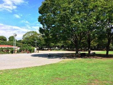 茅ケ崎市 中央公園の画像1