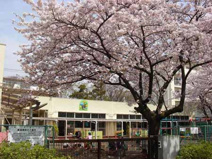 鶴が台保育園