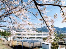 秦野市立北幼稚園