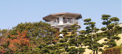 八ツ面山の画像1