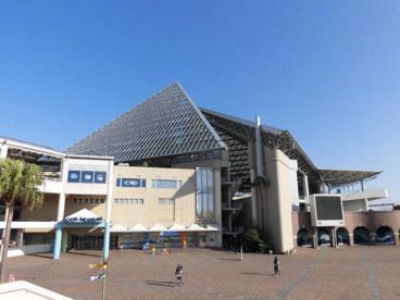 横浜・八景島シーパラダイスの画像3