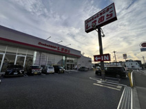 しまむら 高松店