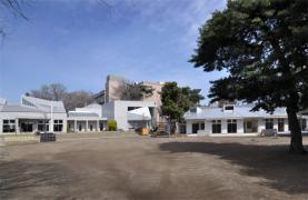 武蔵野大学 付属幼稚園の画像2