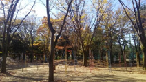 神山堂阪公園