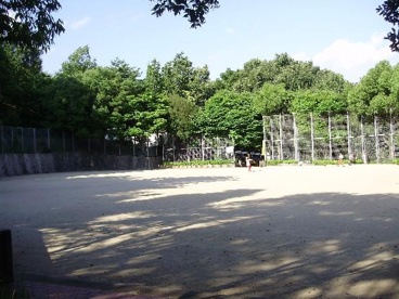 山麓公園の画像1