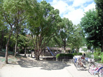 唐池公園