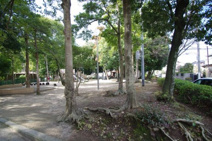 阿比太公園
