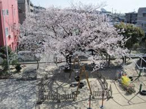天神保育園