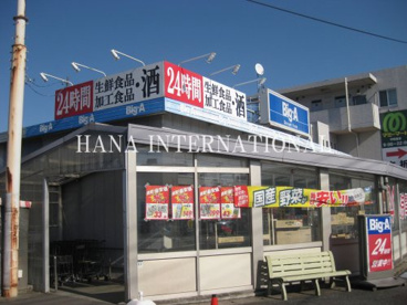 ビッグ・エー松戸八ケ崎店の画像1