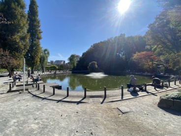 赤塚溜池公園の画像1