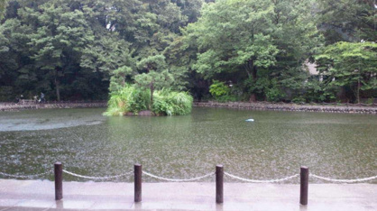 赤塚溜池公園の画像2