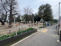 東板橋公園