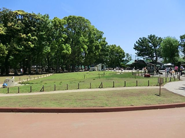 東板橋公園の画像2