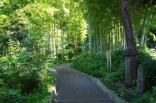 瀬田四丁目旧小坂緑地