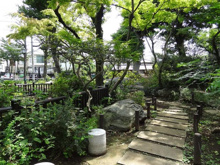 公園 深沢の杜緑地