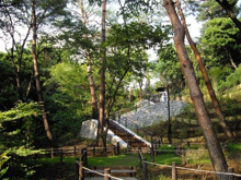 公園 成城四丁目緑地