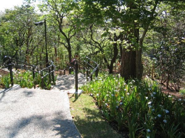 成城四丁目緑地の画像2