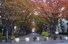 馬事公苑前緑地