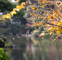 旧安田庭園の画像1