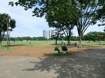 武蔵野中央公園