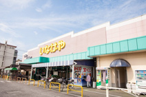 いなげや 小平回田店