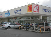 ウエルシア坂戸にっさい花みず木店