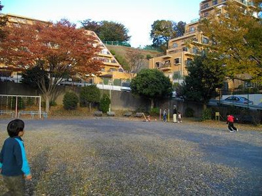 荏田釈迦堂公園の画像1