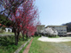 小田原市立久野小学校の画像