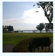 豊洲公園・春海橋公園の画像1