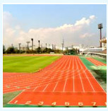 夢の島競技場の画像1