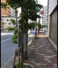松倉米吉住居跡の画像1