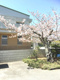 一宮町立一宮中学校の画像