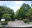 亀戸中央公園