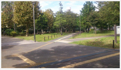 南砂3丁目公園の画像1