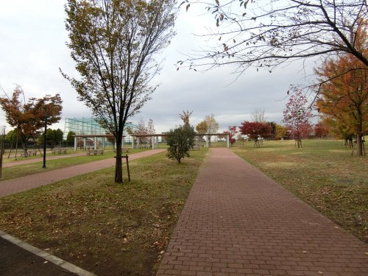 もみじやま公園の画像1