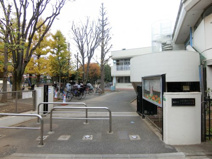 大泉学園保育園