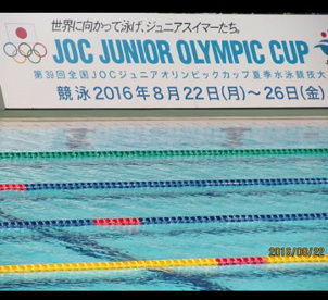 東京辰巳国際水泳場の画像1