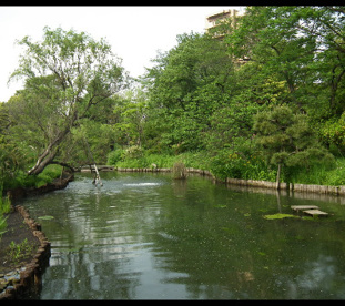 向島百花園 の画像1