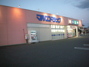 マルエドラッグ太田南矢島店の画像1