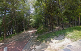成山公園