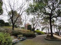 公園 鳶尾中央公園