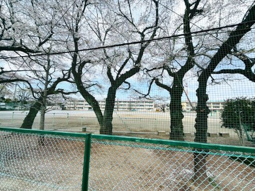 練馬区立大泉学園桜中学校（大泉桜学園）の画像