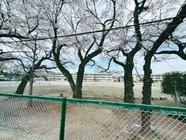練馬区立大泉学園桜中学校（大泉桜学園）の画像1